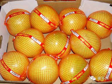 吃貨的福音 今冬平湖水果市場柚子量大價廉